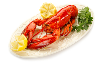 Maine Lobster