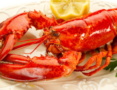 Steamed Lobster