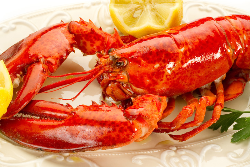 Steamed Lobster